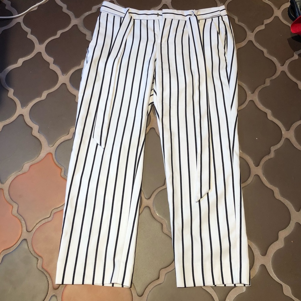 Banana Republic Cropped Dress Pants